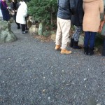 今日、夕方最後にお参りされたみなさま…縁結びのお守りである『ナギの木の葉っぱ』をお探しです。