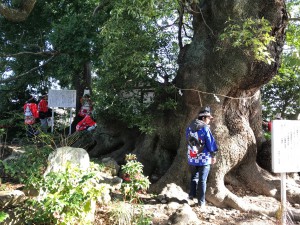 IMG_9139