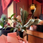 image0 - 2024-12-31T113250.249