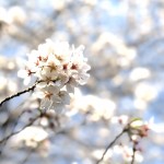 IMG_1605
