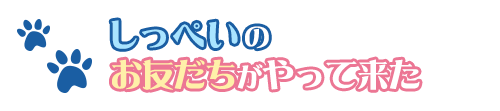 あなたが探していた恋のピースが見つかるパワースポット